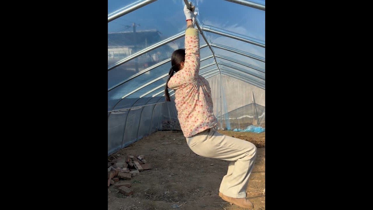婆婆说，刚开始不想再搭大棚了，这看着搭好的样子，确实很敦实，打算多种点菜，以后吃着方便。#记录真实生活
