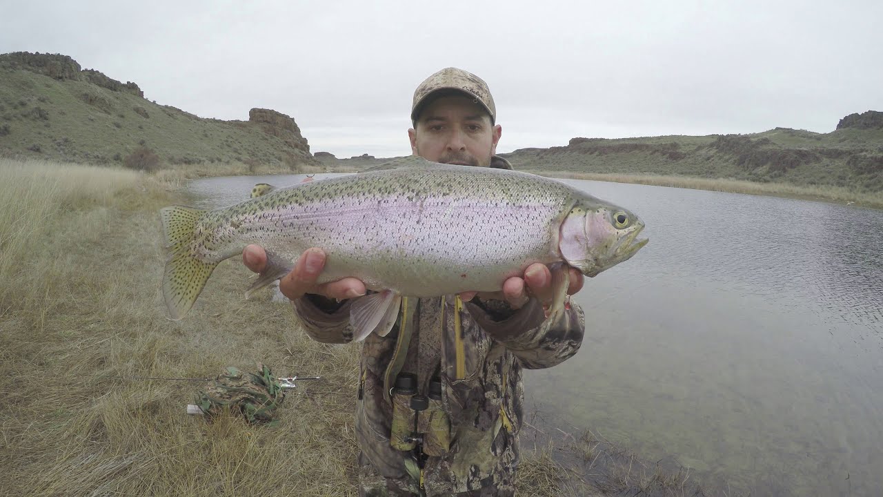 Trout Season Temporada De Truchas Part 1