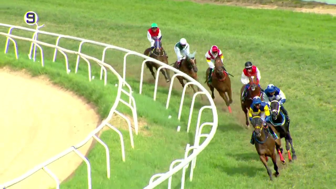 POSITANO : THE GOVERNOR'S CUP (GR III) (172)