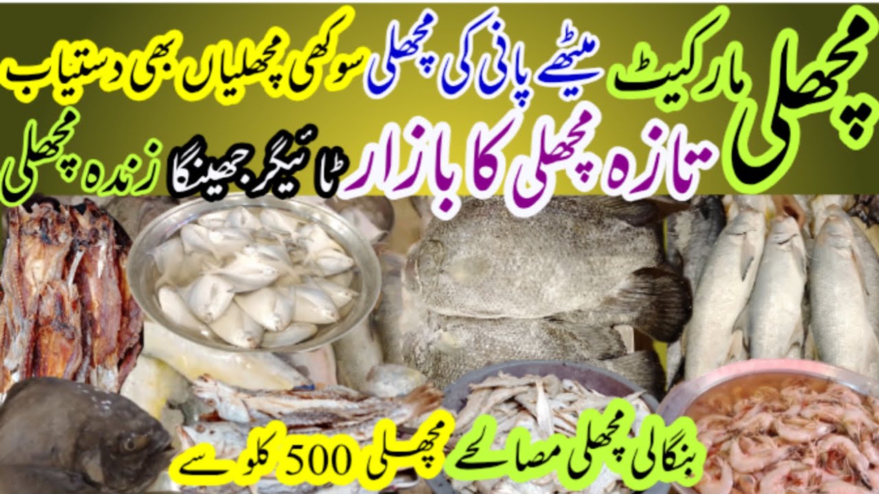 Bangali para Fish market karachi | cheapest fish market 
