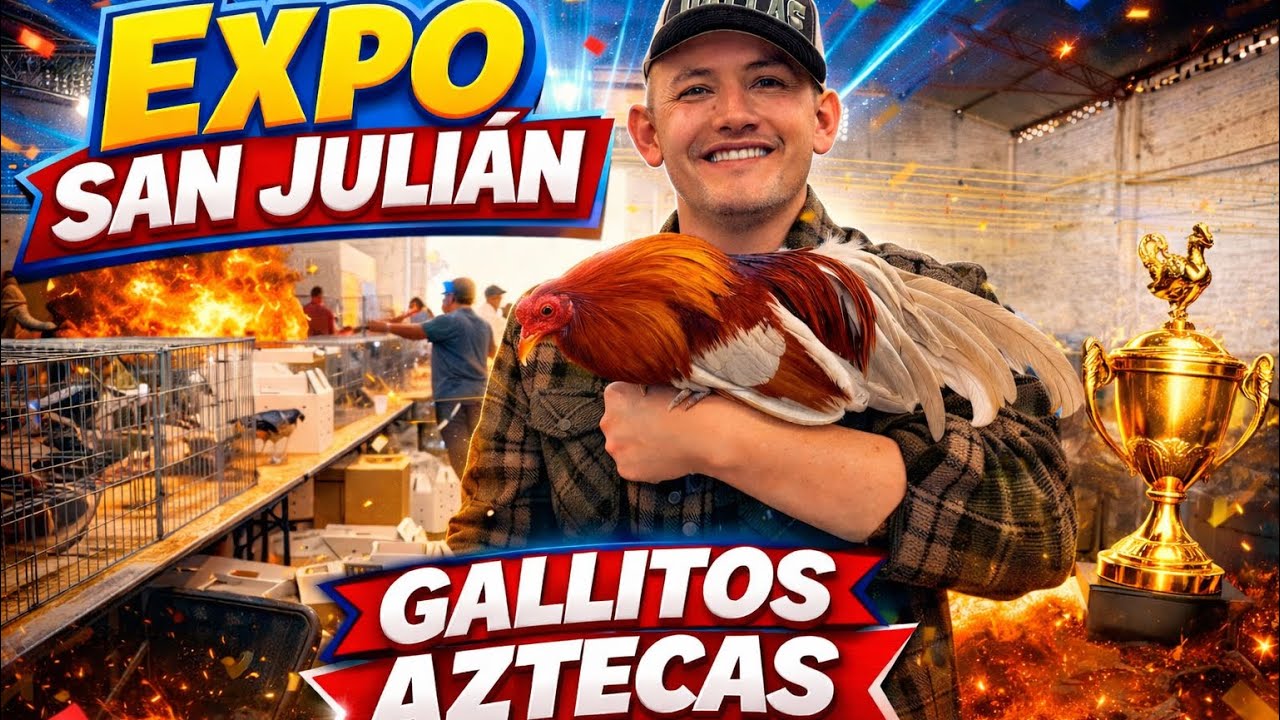 👀 Nadie Quería Decirlo… Pero Aquí Está el Precio 👀