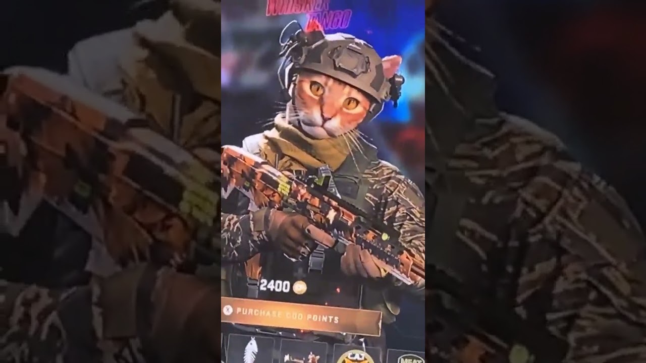 НУ ЧЕ ТАКОГО НАПАРНИКА БЕРЕМ? CAT OF DUTY #callofduty #gameshorts #games