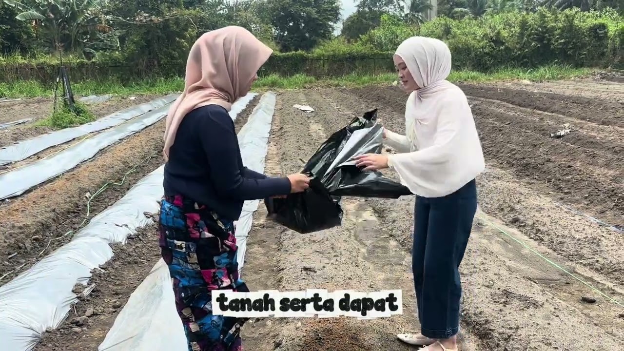Viola Ananda_Minggu ke 2_Kecipir