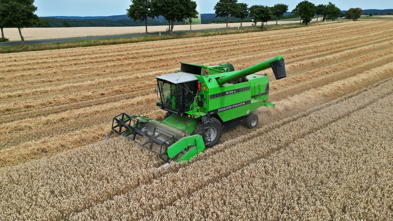 Threshing Wheat | Deutz-Fahr M 36.10 | 2022