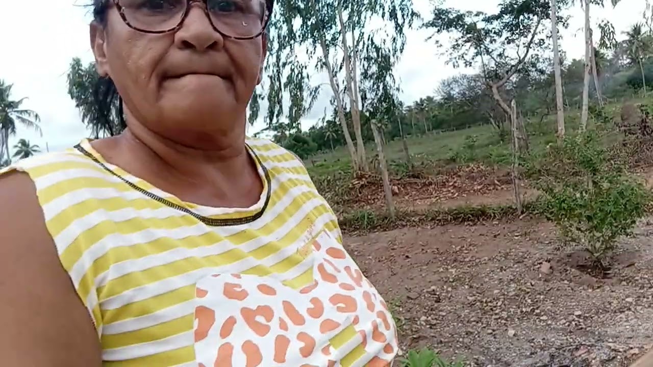 Limpando os terreiro do sítio #SITIO #INTERIOR #pimpeza
