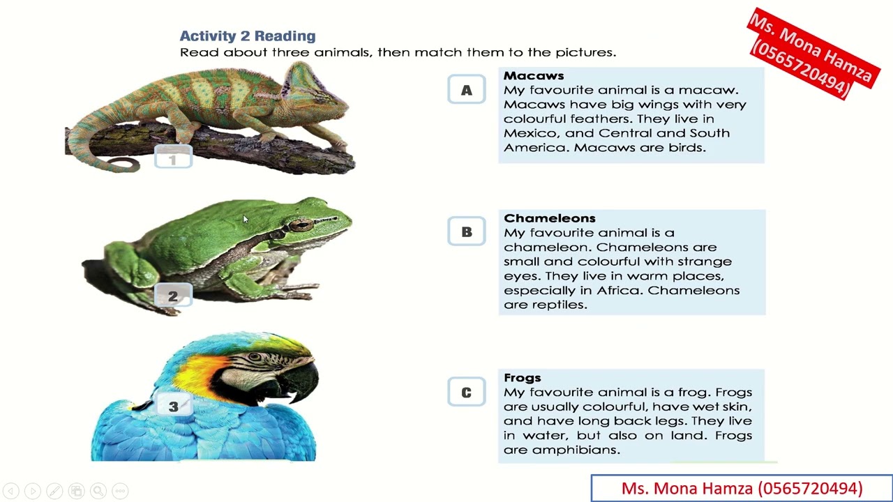 Access Book   Grade 7   Unit 7   Lesson 2 with listening text