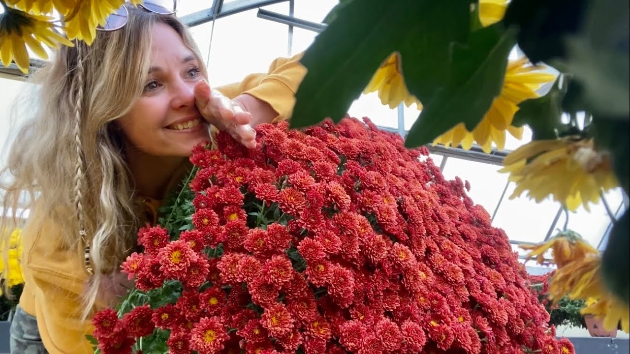 Поездка в сады Cherry Valley Gardens, шопинг и общение, сбор поздних тыкв 🎃 для крыльца