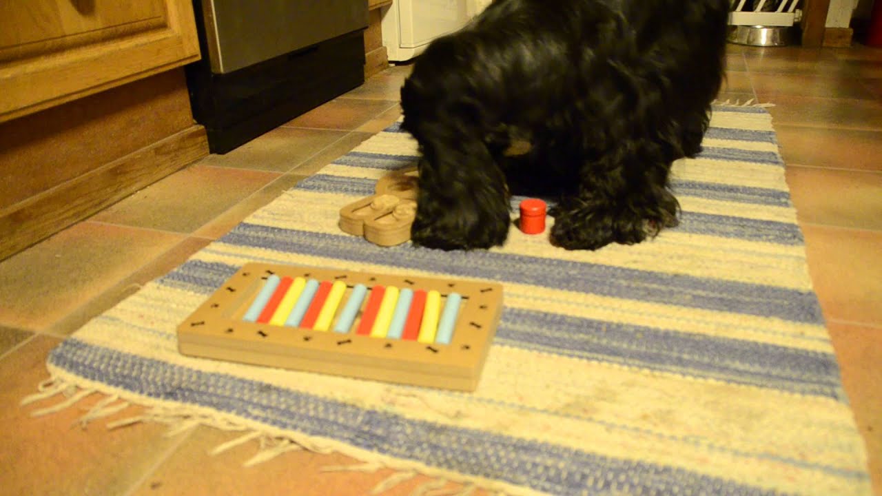Hjernetrim