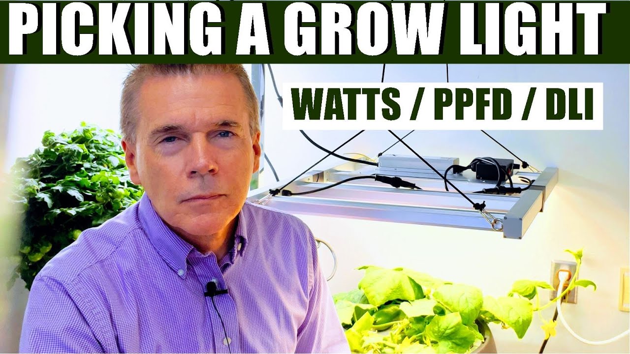 PICKING A GROW LIGHT - PPFD vs DLI