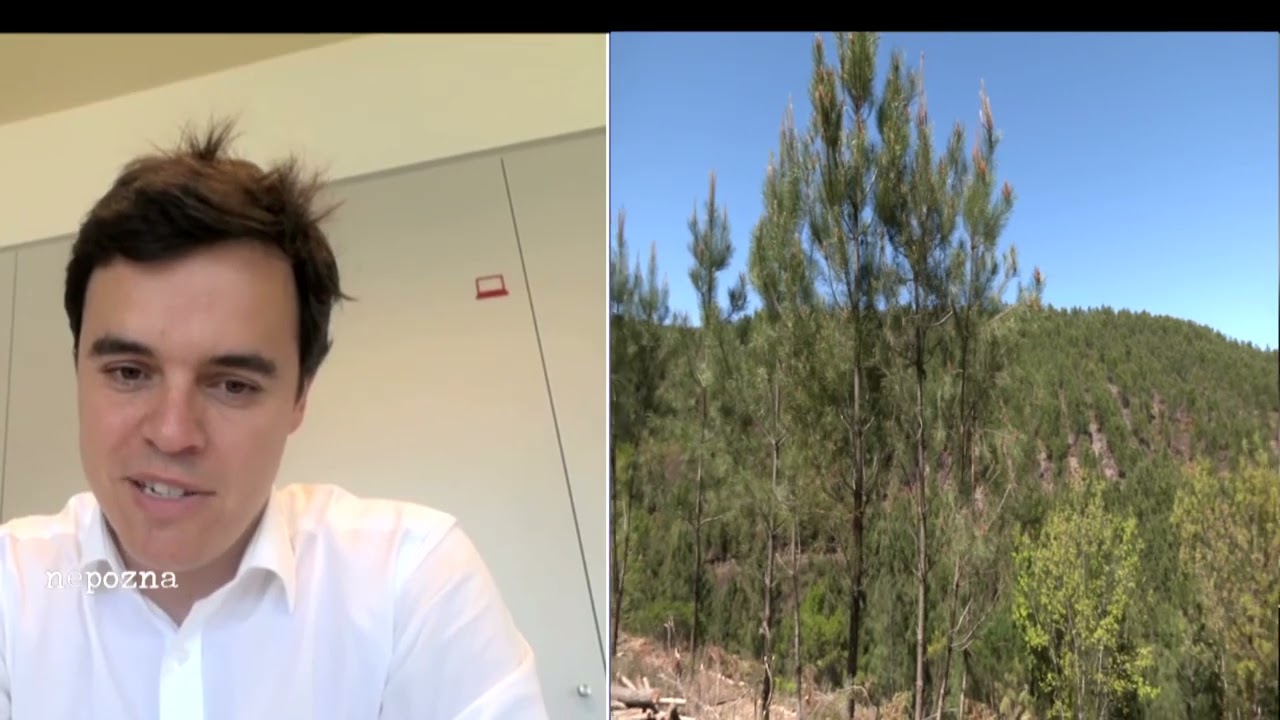 Borba oko litijuma u Portugaliji