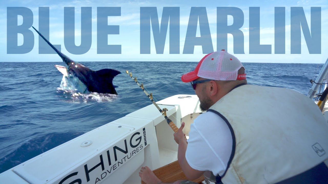 BLUE MARLIN ADVENTURE - Big Game Fishing