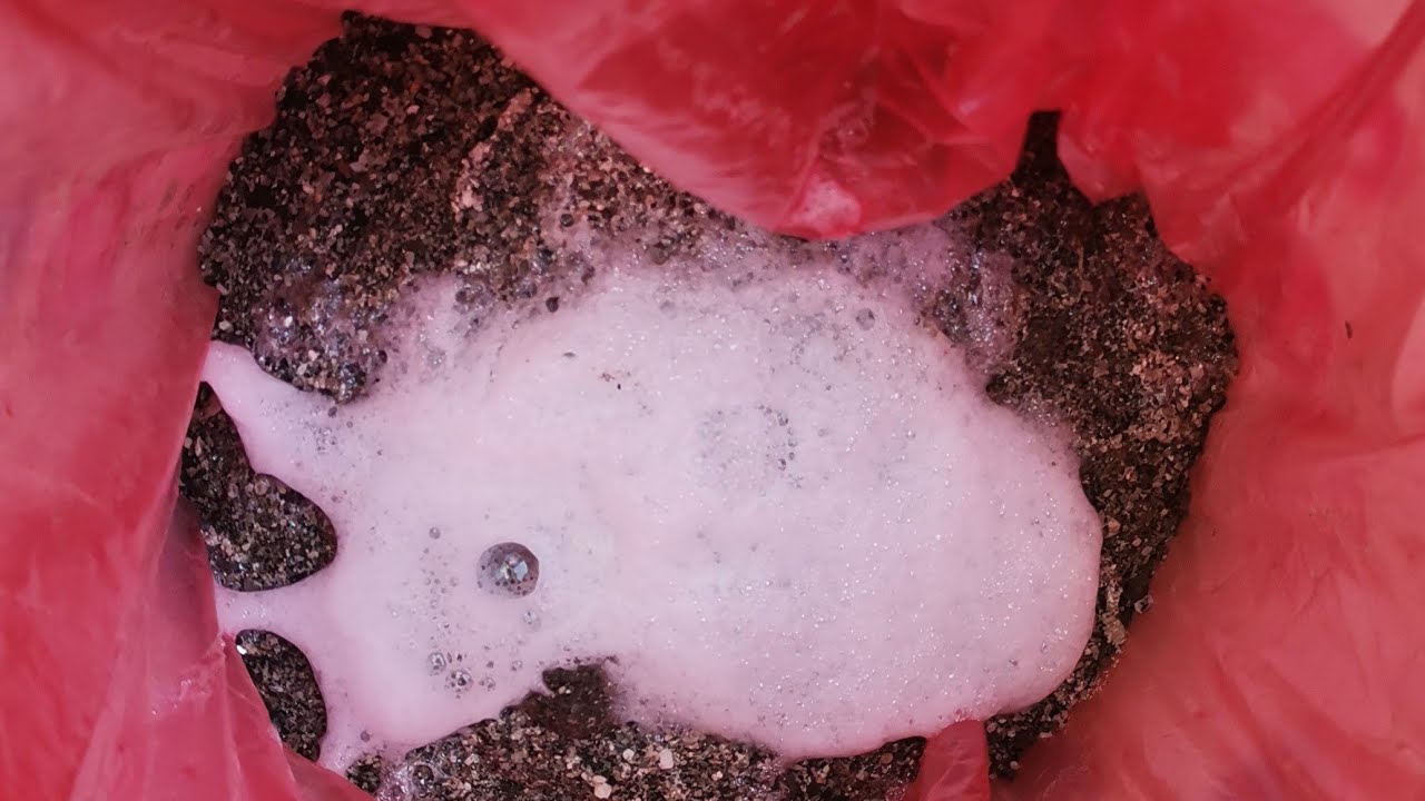 Crazy Foam Reaction in a Bag | Live Experiment