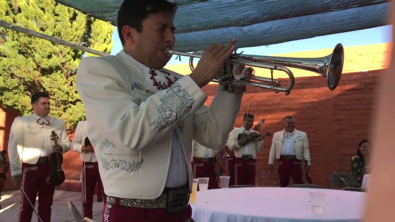 Mariachi Internacional Los Perez - El Niño Perdido (2017)