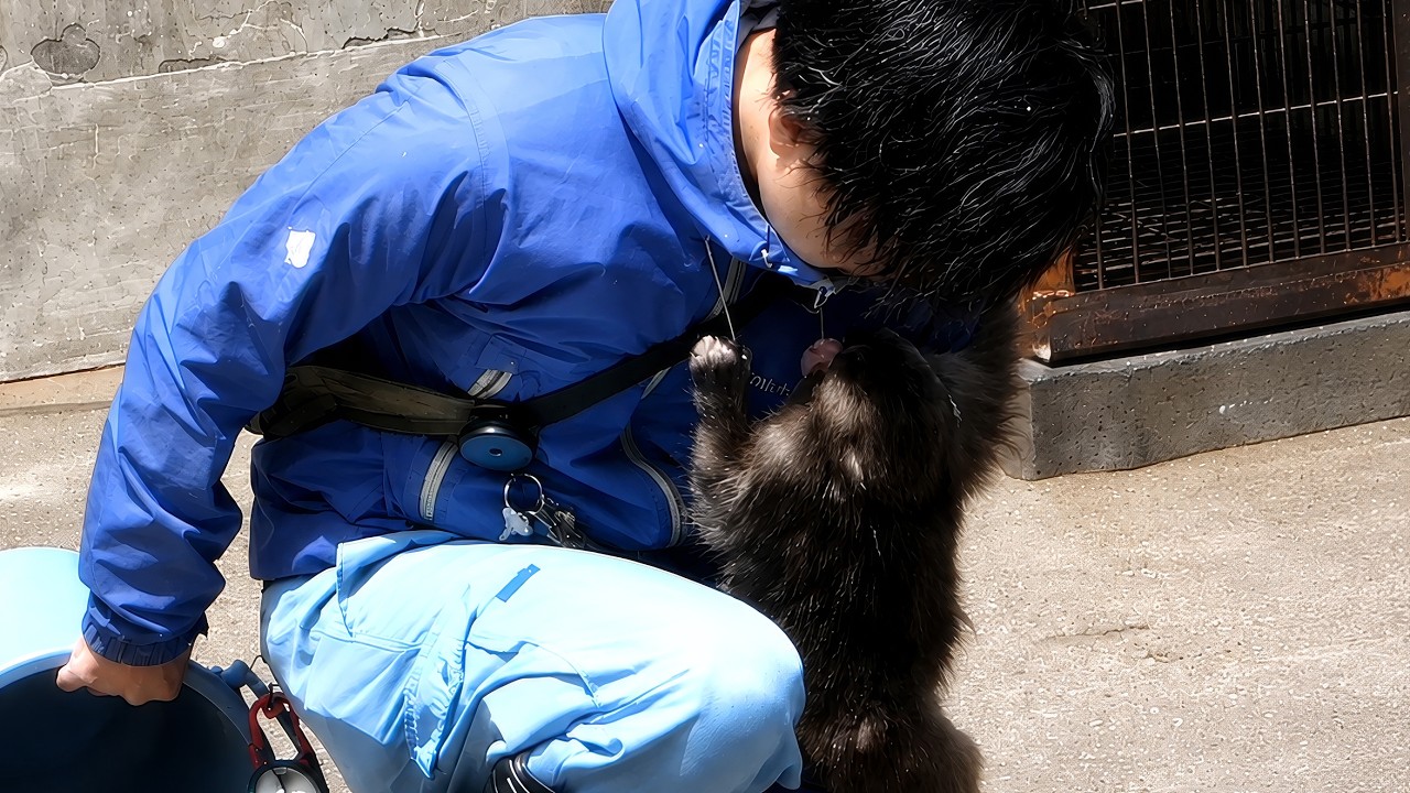 Punch Won&rsquo;t Leave&hellip; What Happens Next Will Melt Your Heart