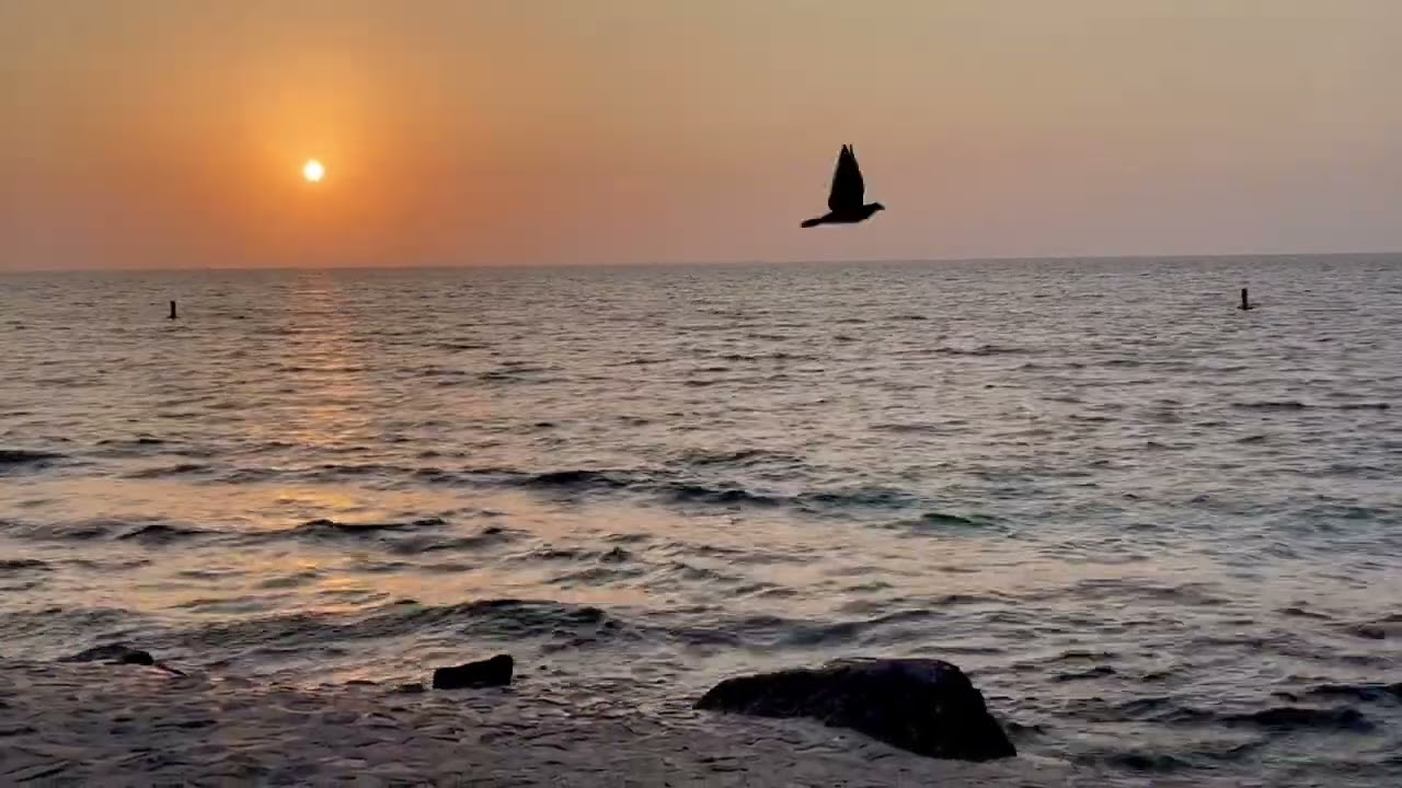#Golden Hour by the Sea .. Let the #Waves Heal You, #viral #sunset #relxing #naturesounds #view 