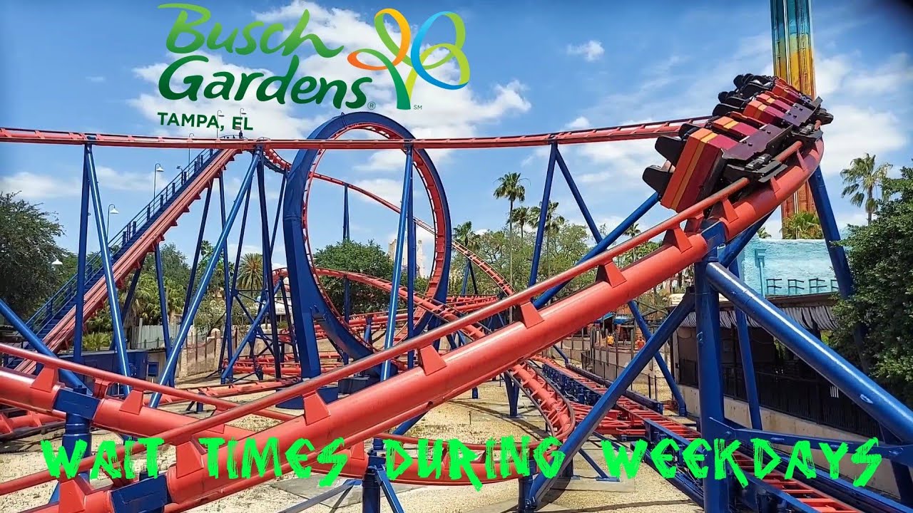 How Easily Can I Ride Every Major Coaster During a Weekday in 5 Hours? - Busch Gardens Tampa Vlog