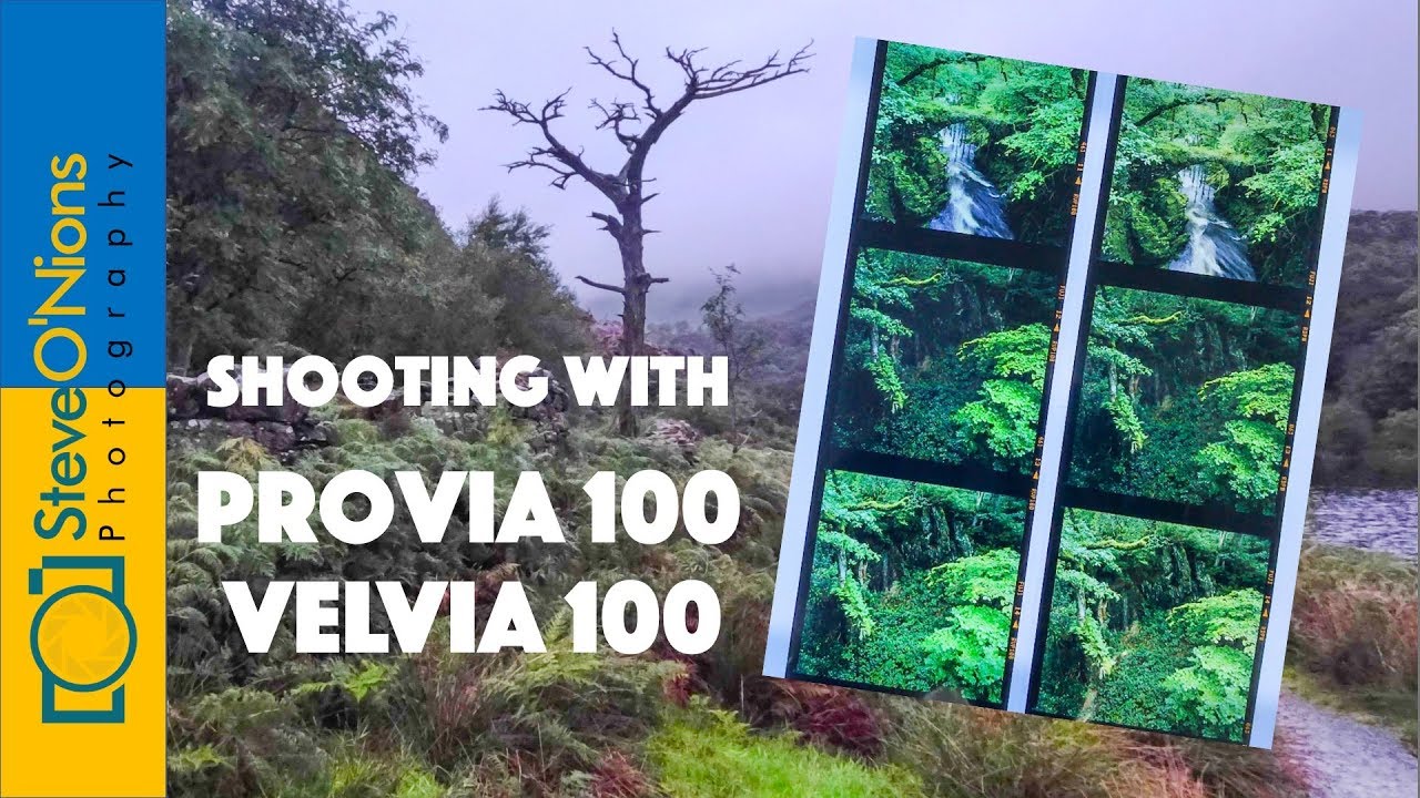 Film Photography - Comparing Provia and Velvia 100 on a Landscape Shoot