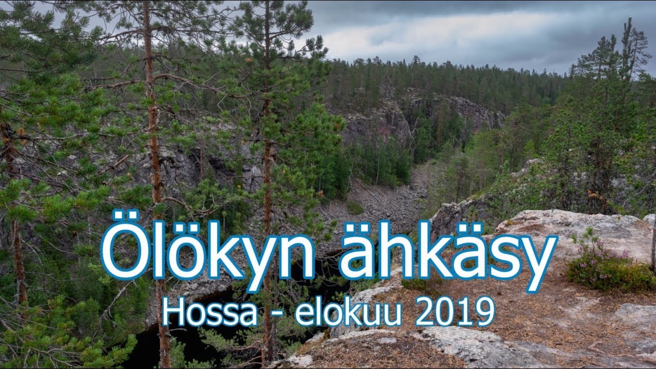 Hossa - Julma-Ölkky - Ölökyn ähkäsy 2019