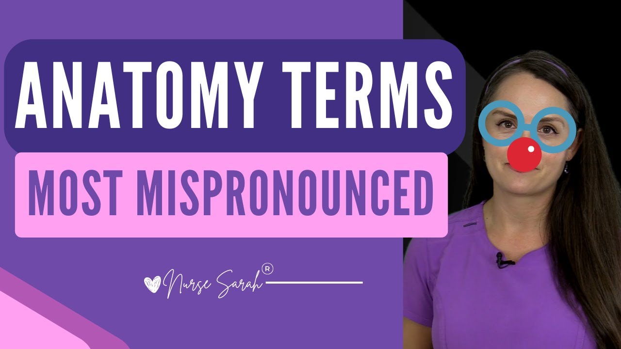 Анатомические термины, которые вы можете неправильно произнести | Анатомия: медицинская терминология