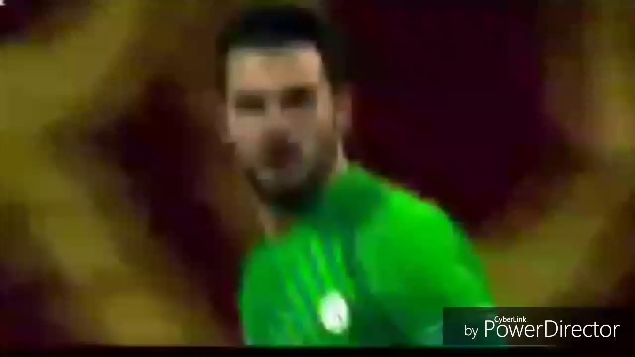 Orestis Karnezis ~2016/2017