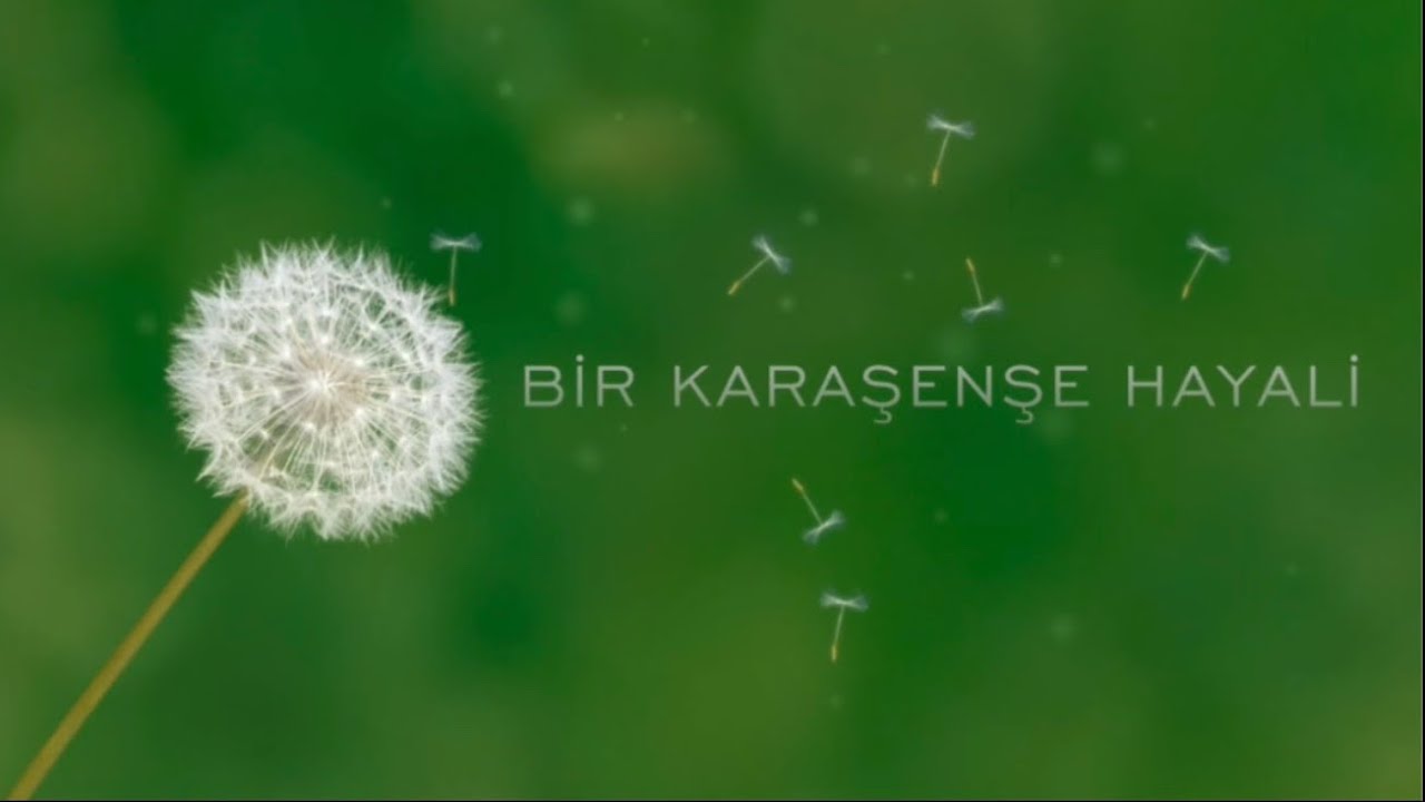 Bir Karaşenşe Hayali Eğitim Belgeseli