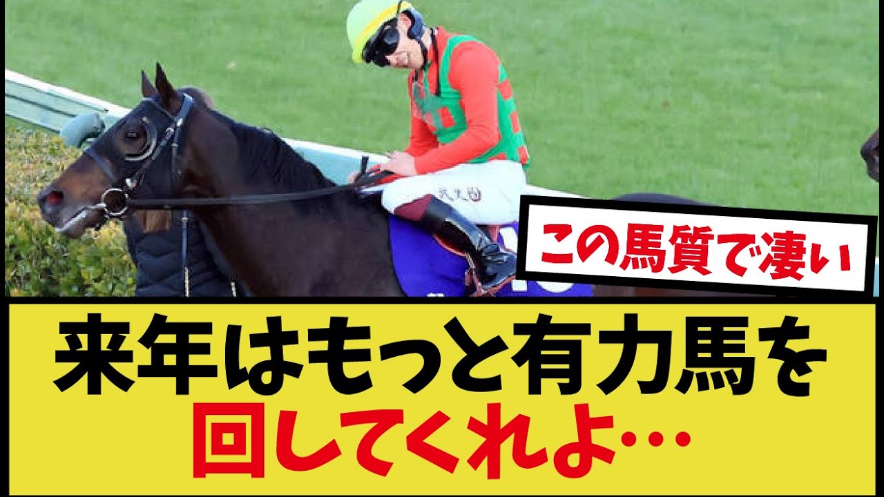 「横山武史を干してる天栄さんよ…」に対するみんなの反応集