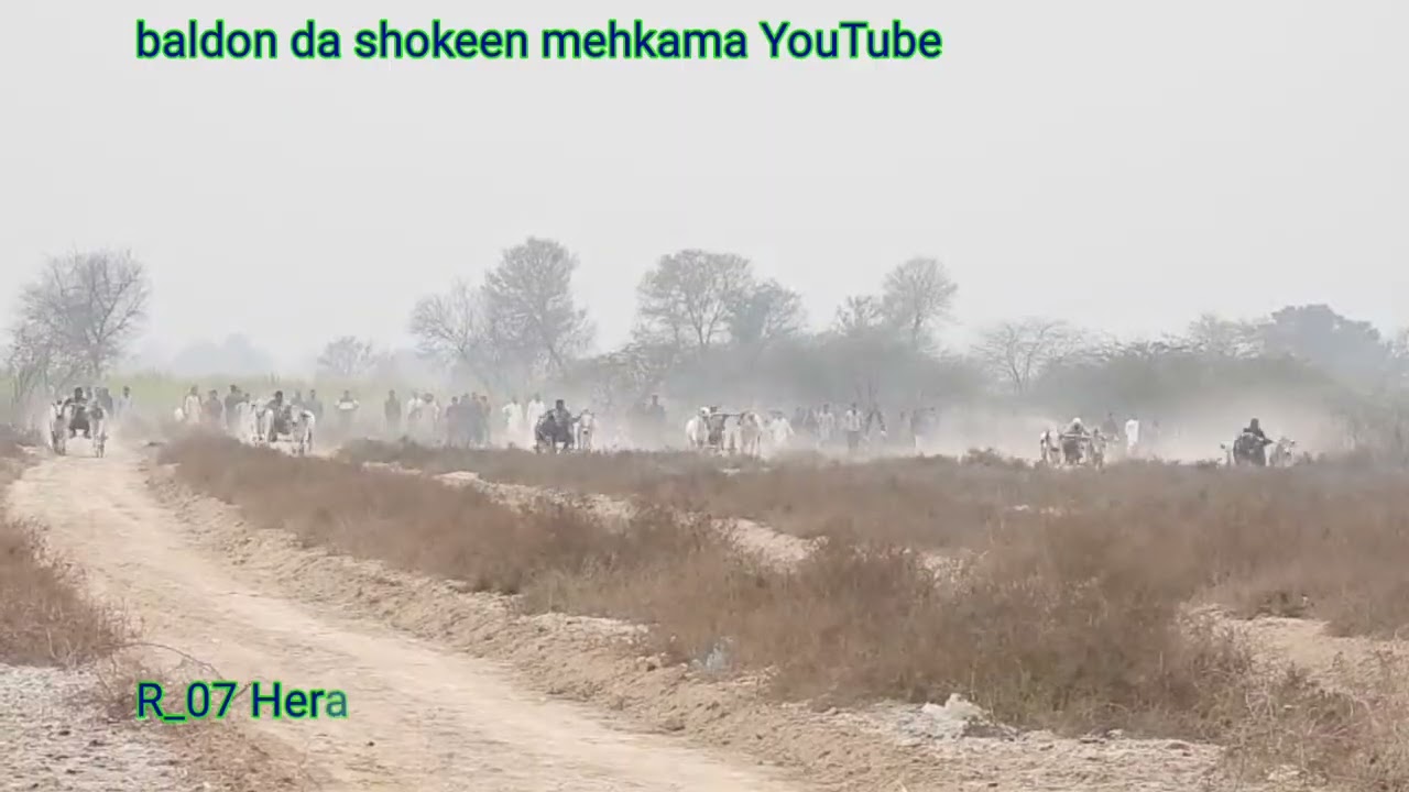 09 February 2026 district Faisalabad donda donda bailgadi race ground 228 full rounds video 
