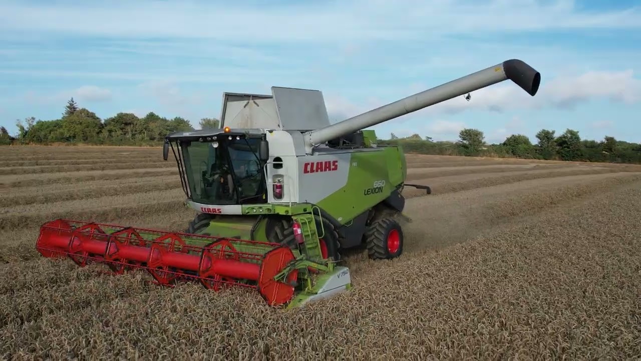 harvest 25! DAVY KEHOE