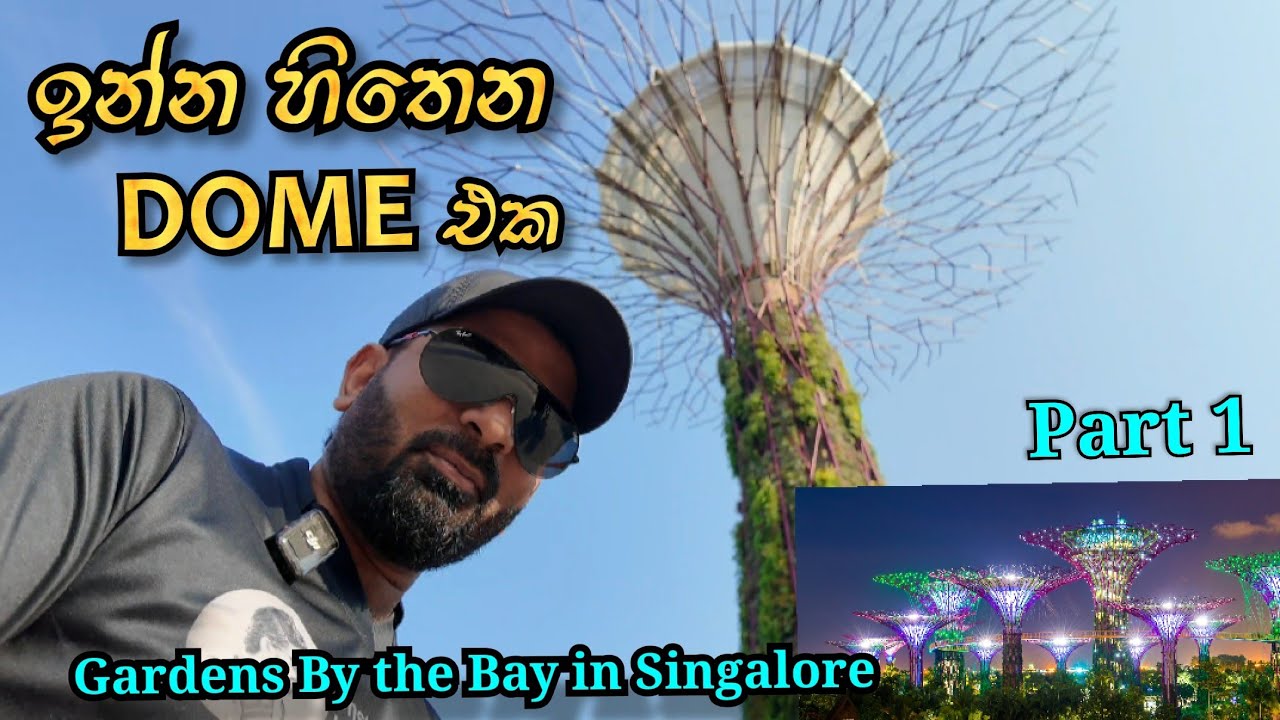 ඉන්න හිතෙන ඩෝම් එක  | Flower Dome in Gardens by the Bay, Singapore | Travel in Singapore