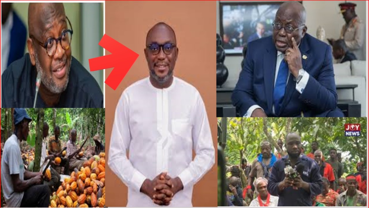 NPP MP Nearly Butchered As Cocoa Farmers Angrily Storms..