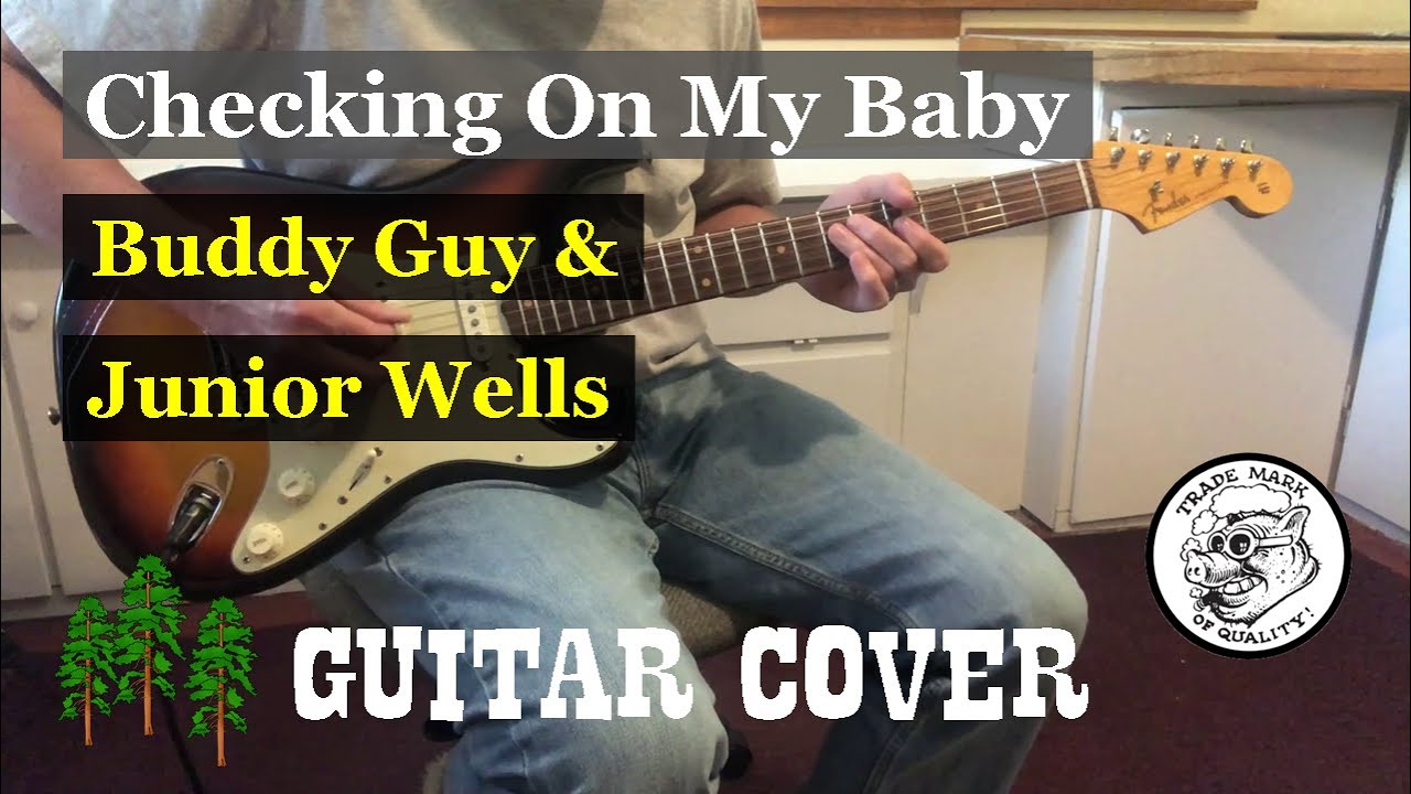 Checking On My Baby - Buddy Guy Guitar Cover