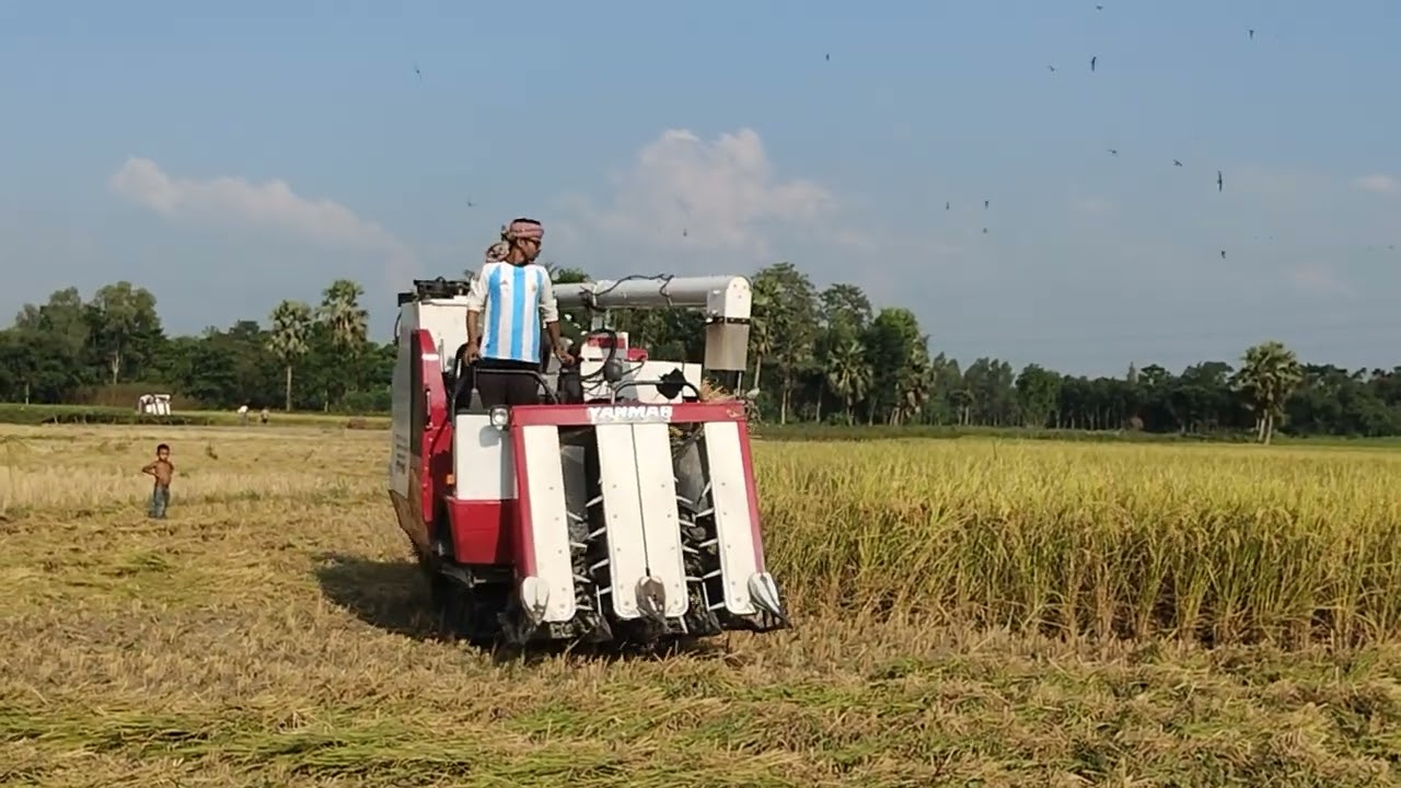 ❤️❤️❤️🇧🇩🇧🇩🇧🇩❤️❤️❤️ #yanmar AG600A #harvester #automobile #agriculture #
