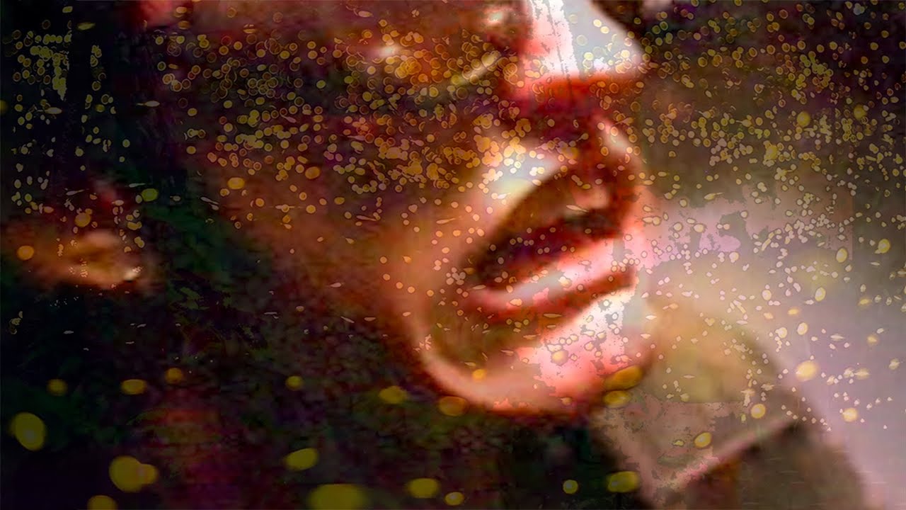 Closerflies - Neil Cicierega (Unofficial Music Video from Mouth Dreams)