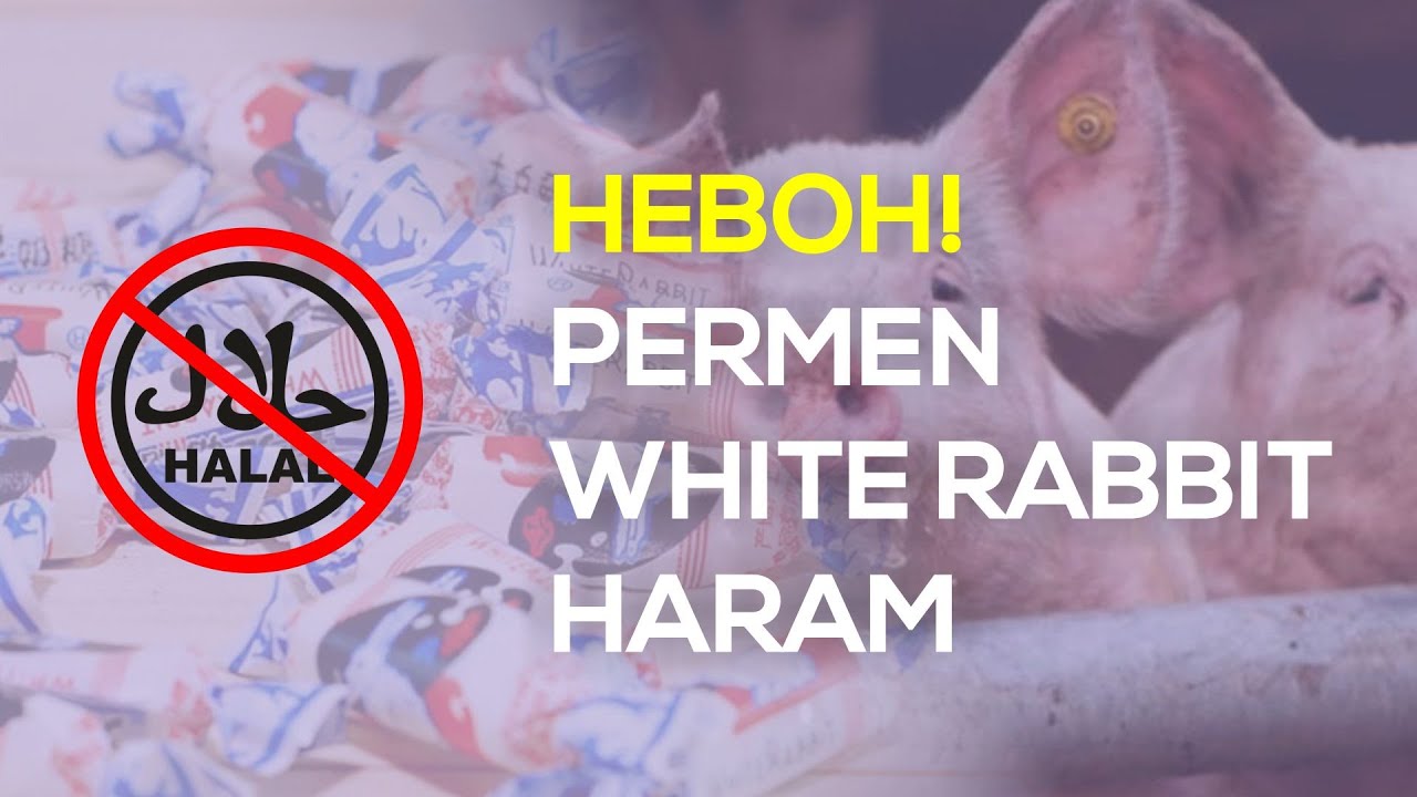 HEBOH! PERMEN WHITE RABBIT DIBERI LABEL NON-HALAL