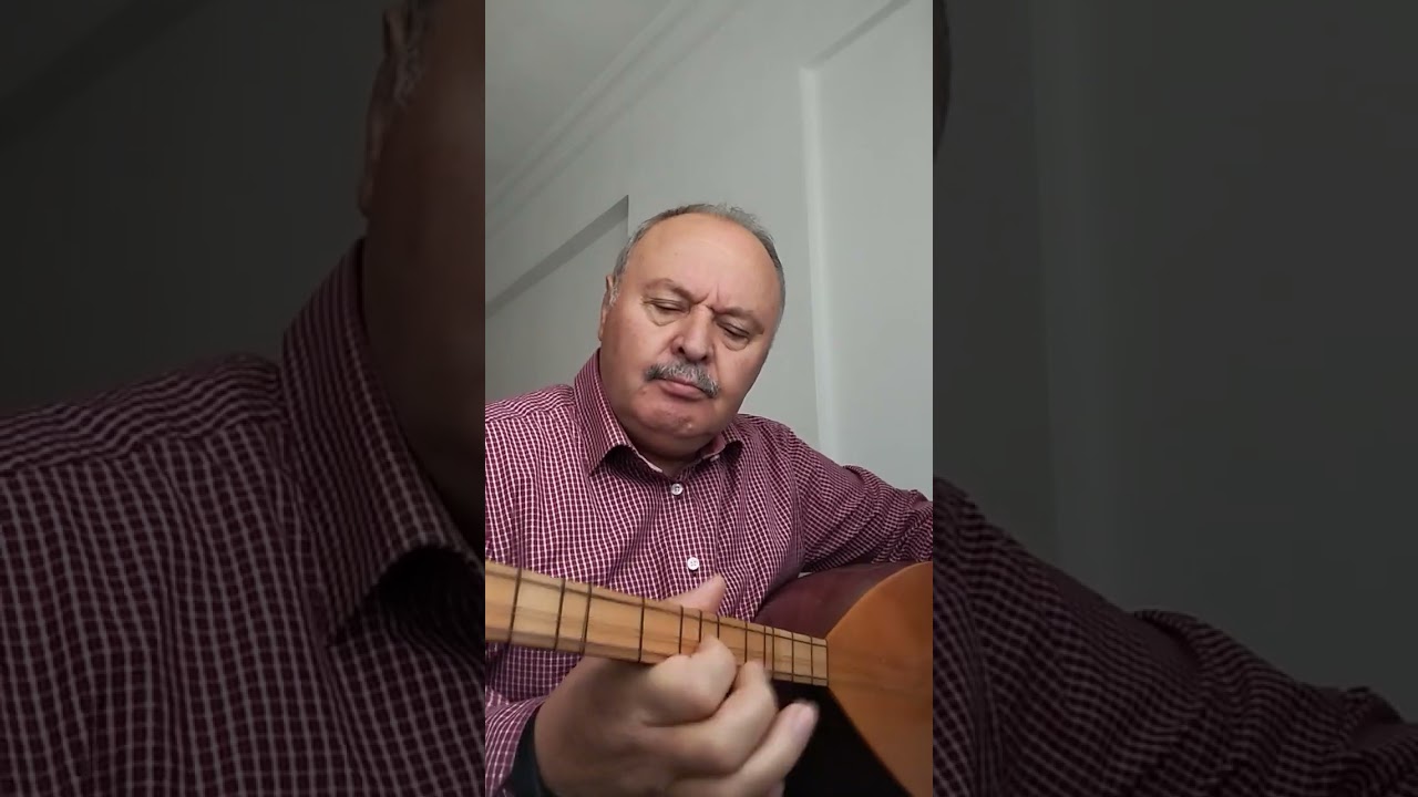 HARMANA SERDİLER SARI SAMANI