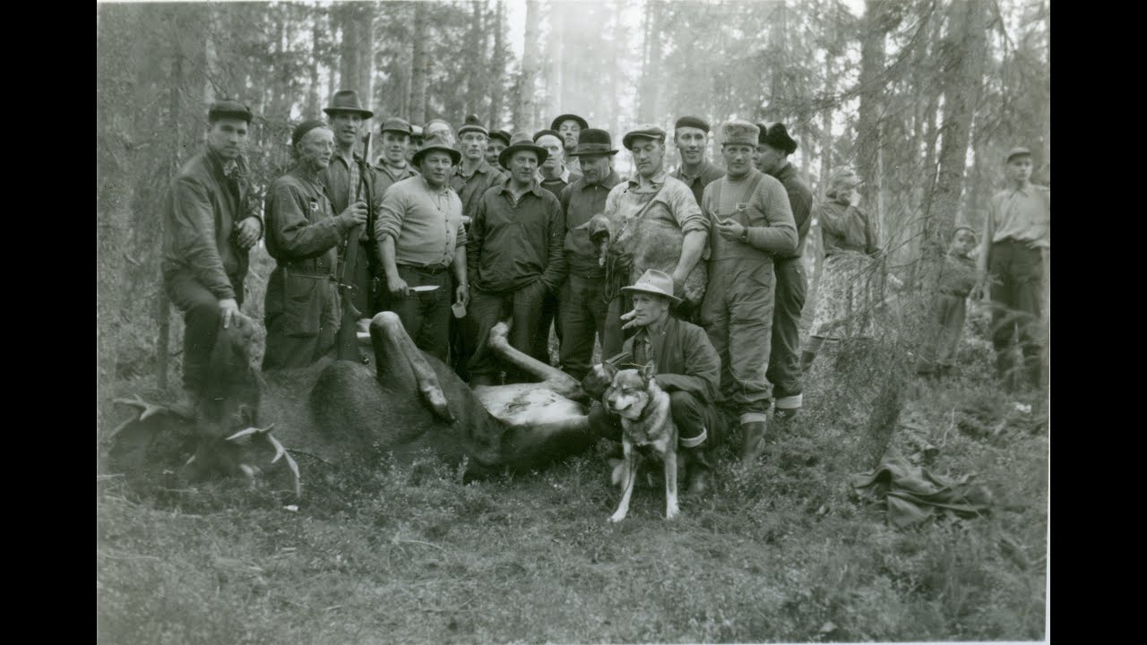 Jakt på älg, räv, mård och fågel. Birger 83 år berättar jaktminnen från förr. Del 1 (av 2): Jakt.