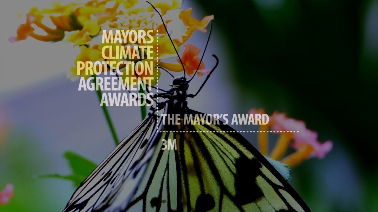 2019 MCPA Award Winner: 3M