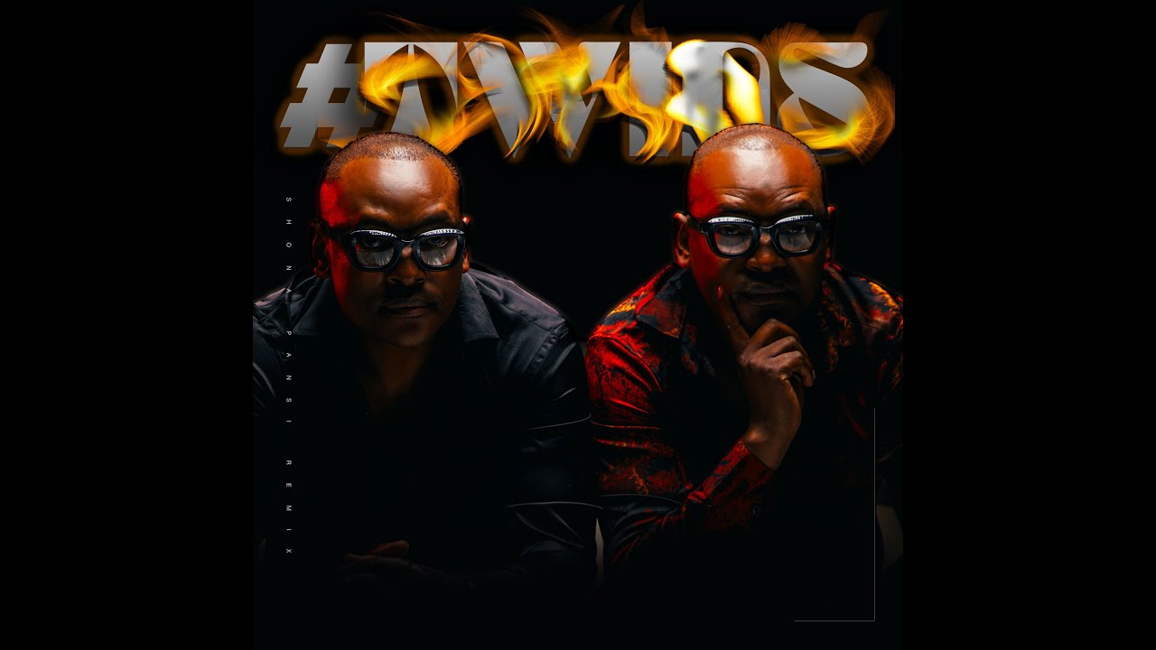 Twins - Shona Phansi Remix 2025