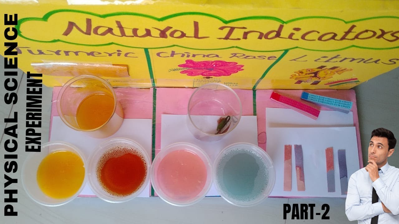 Physical science working model part-2|Acid-Base test with natural indicators