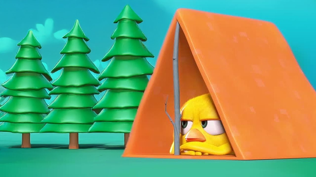 Chicky doesn't like camping | Where's Chicky? | Cartoon Collection in English for Kids | HD