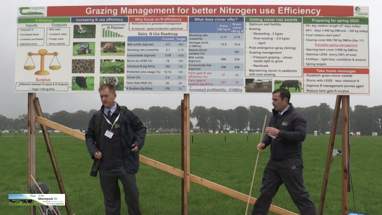 Grazing Management for Better Nitrogen Use Efficiency