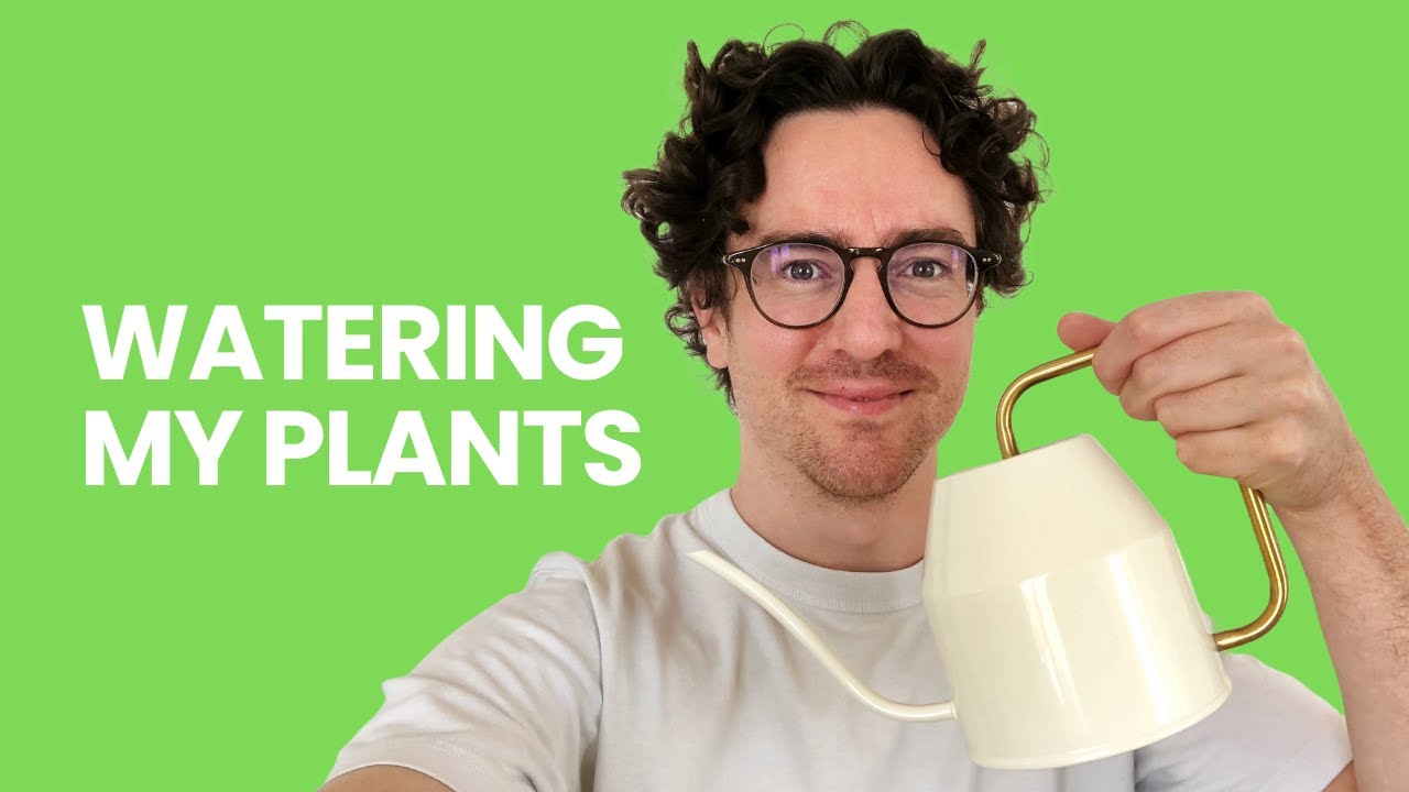 Watering my plants – Complete beginner French (Comprehensible Input)