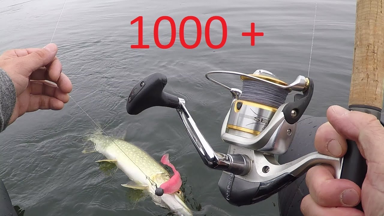 Brochet en eaux profondes : Je le voulais beaucoup plus gros !!!