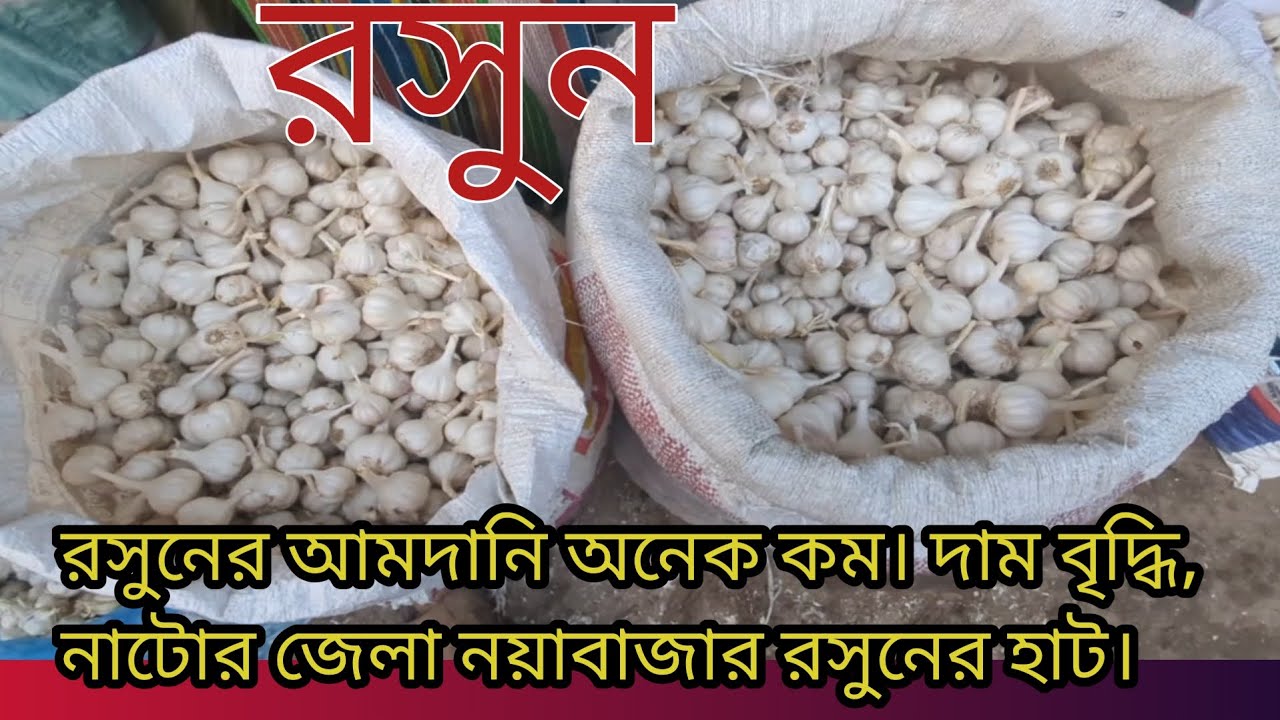 আজকে রসুনের দর দাম।garlic market price rate today.#viral #video #garlic #reels 
