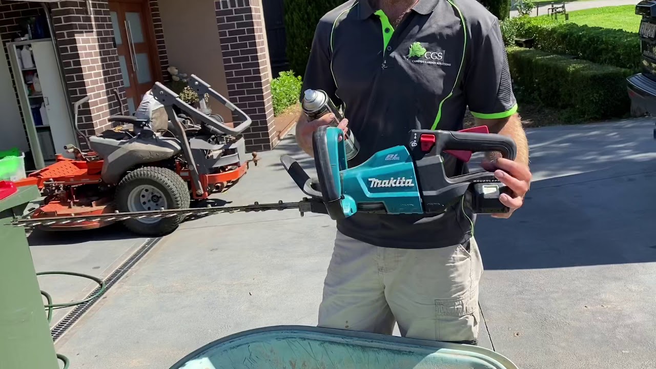 How to clean your hedge trimmer blades