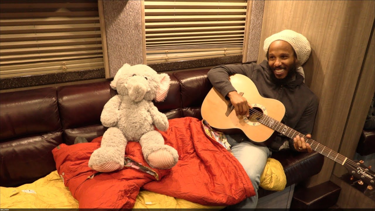 Ziggy Marley performs 