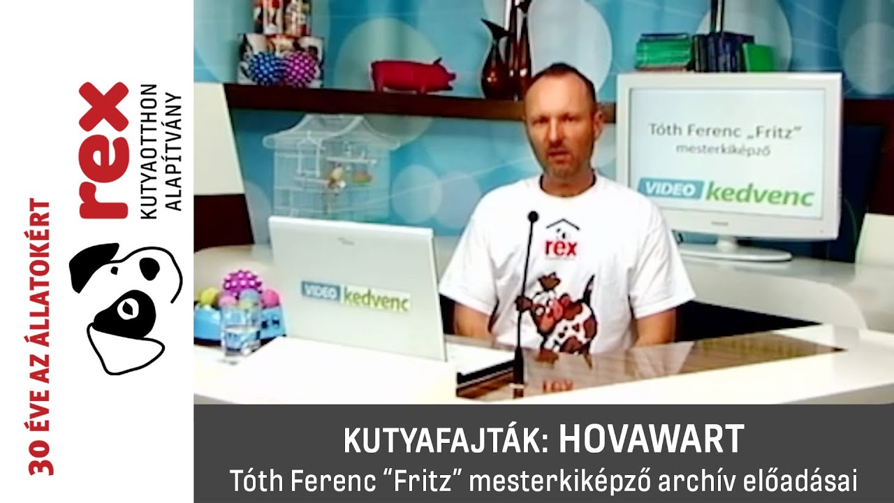 Kutyafajták: hovawart
