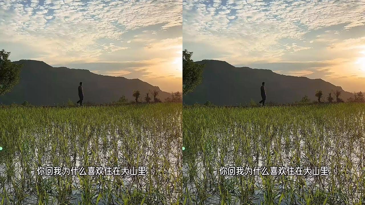真的舍不得离开这个原生态环境，又鲜少人际交往的老家呀 #乡村生活家#新农人计划2025 #农村田园风光 #乡村田园 #乡村田园风光