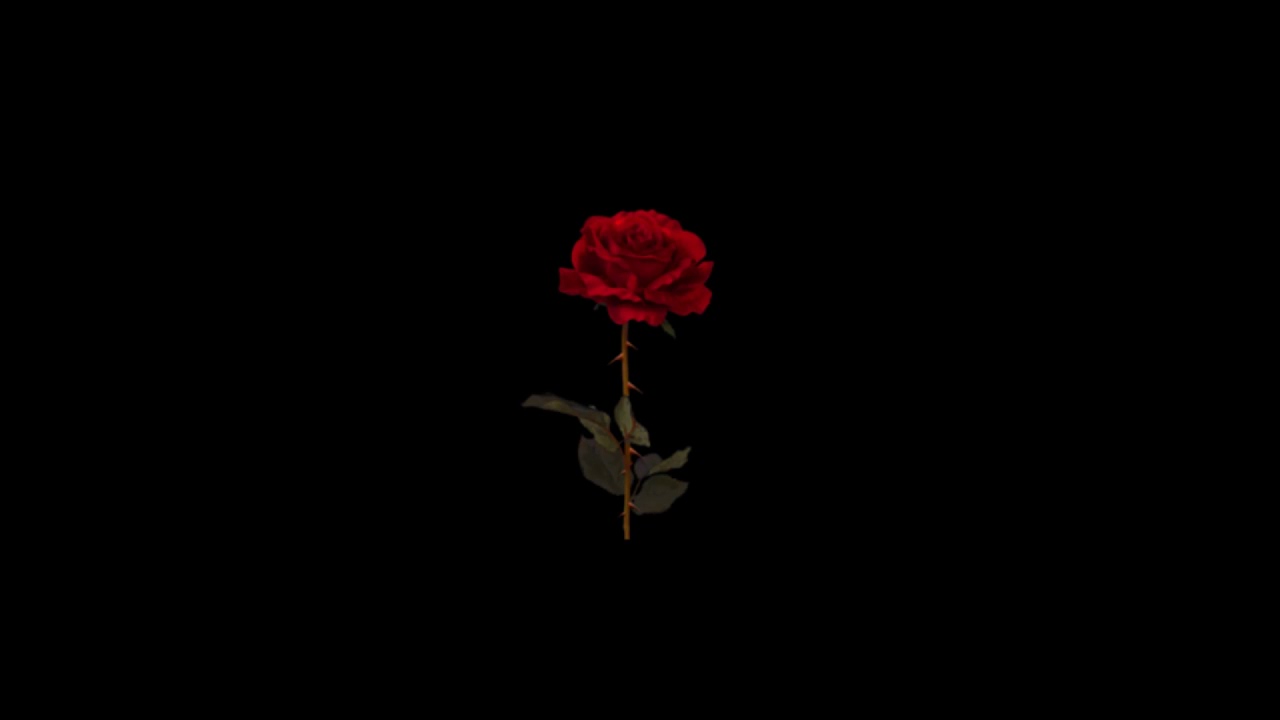 [FREE]Lil Peep type beat ''Perfect Plug''