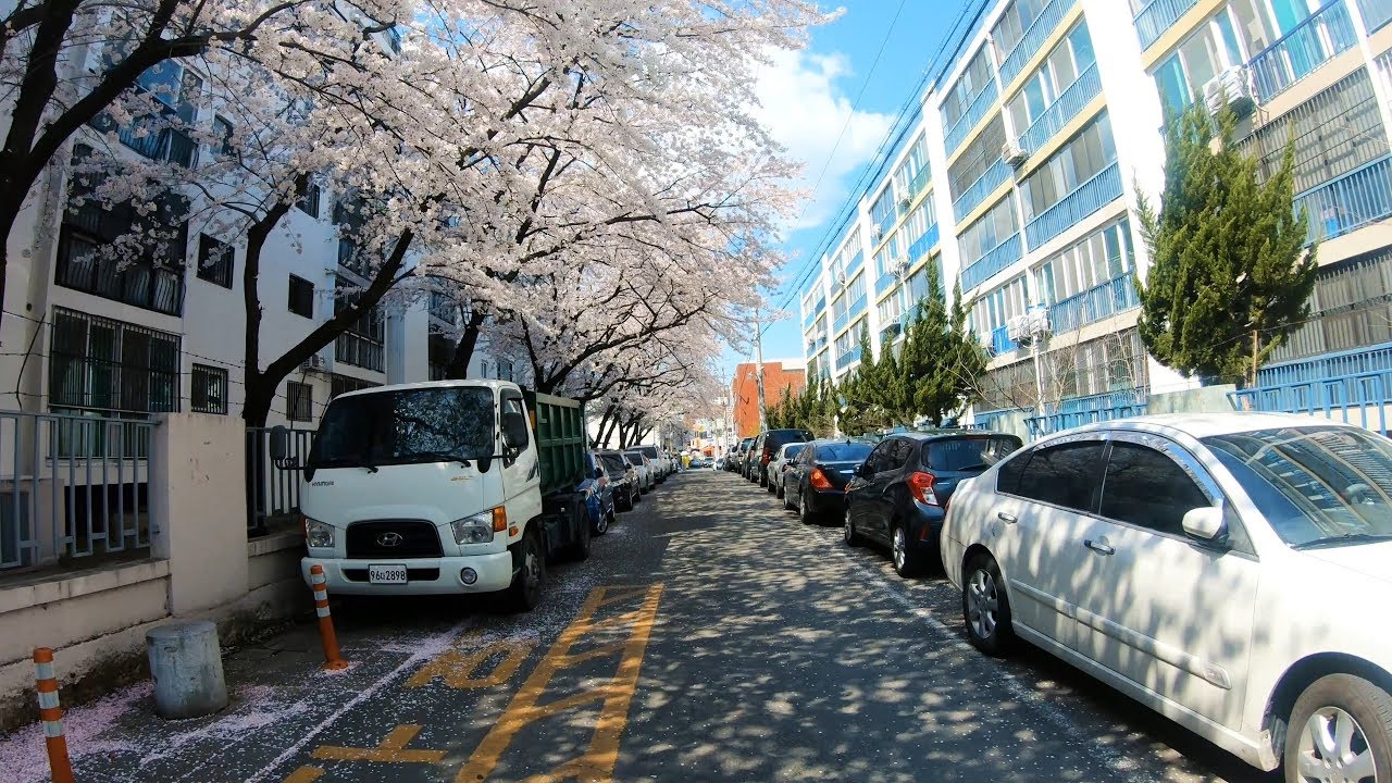 대구 동구 신암동, 금호강 자전거길 - Ride a bicycle. Daegu, Korea